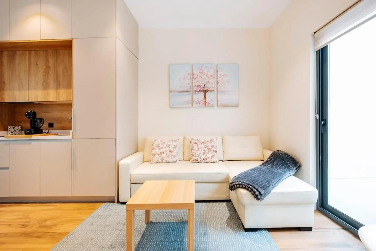 Deluxe Twobedroom Apartment Seville Downtown Spain