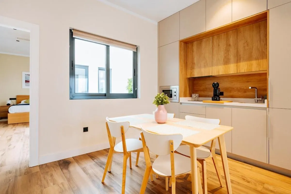 Deluxe Twobedroom Apartment Seville Downtown
