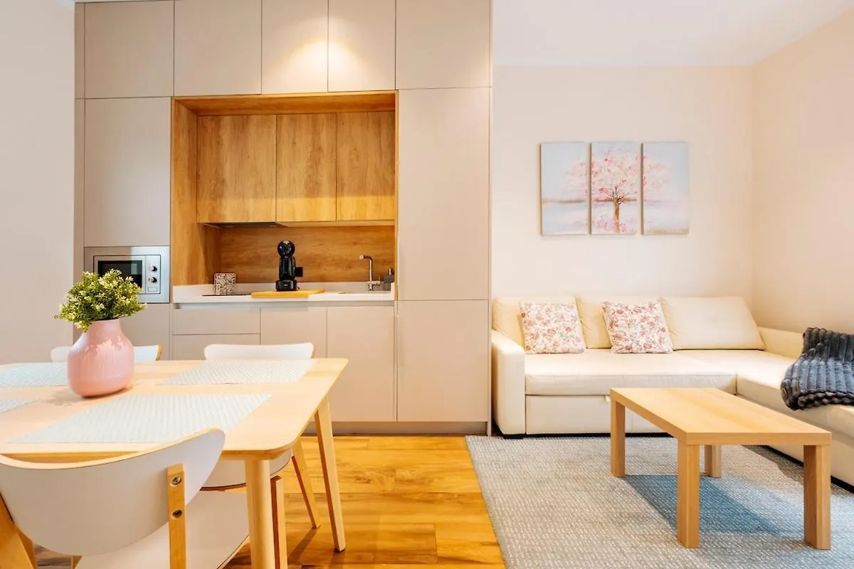 Deluxe Twobedroom Apartment Seville Downtown